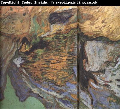 Vincent Van Gogh Les Peiroulets Ravine (nn04)